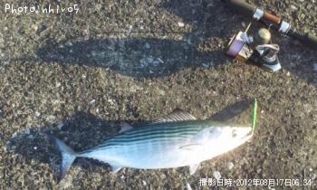 �����ĥ�