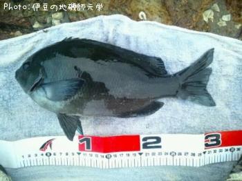 �����᥸��