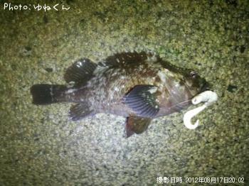 ��饽��