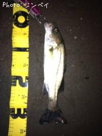 �����Х�