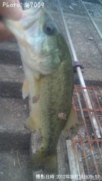 �֥�å��Х�