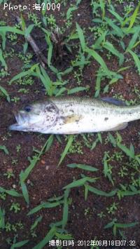 �֥�å��Х�