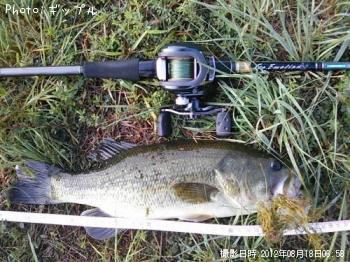 �֥�å��Х�