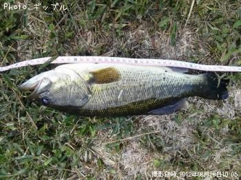 �֥�å��Х�