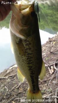 �֥�å��Х�