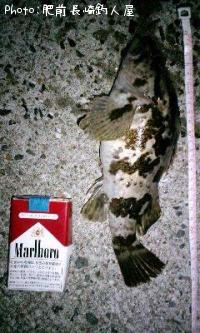 ¥¿¥±¥Î¥³¥á¥Ð¥ë