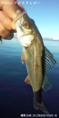 �����Х�