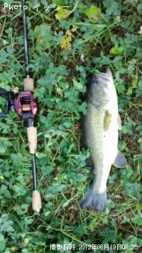 �֥�å��Х�