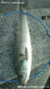 �����Х�