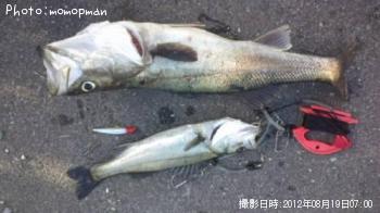 �����Х�