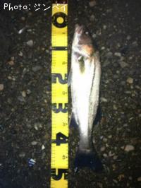 �����Х�