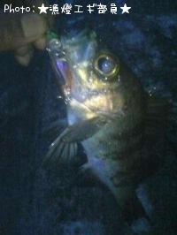 ¡ú¥á¥Ð¥ë¡ú