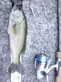 ¥Ö¥é¥Ã¥¯¥Ð¥¹