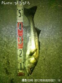 �����Х�