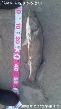 �����Х�