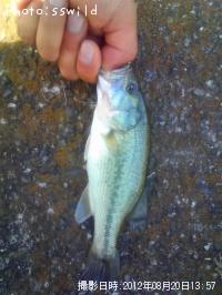 �֥�å��Х�