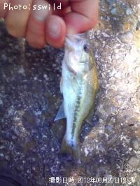 �֥�å��Х�