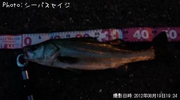 �����Х�