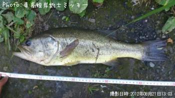 �֥�å��Х�