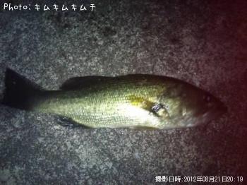 �֥�å��Х�