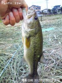 ¥Ö¥é¥Ã¥¯¥Ð¥¹