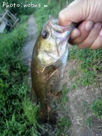 ¥Ö¥é¥Ã¥¯¥Ð¥¹