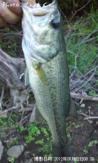 �֥�å��Х�