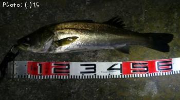 �����Х�