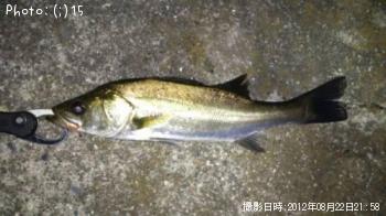 �����Х�