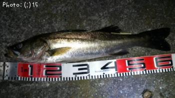 �����Х�