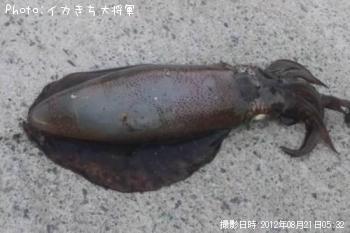 �����ꥤ��