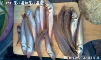 �������������