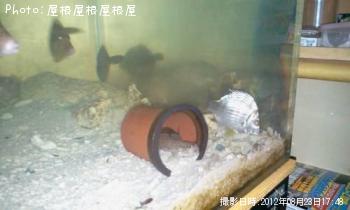 �������������