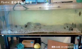 �������������