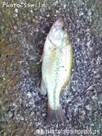 �֥�å��Х�
