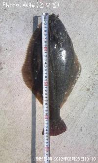 �ޥ����쥤