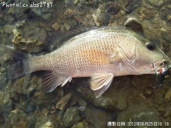 ���ޥե��ե�����