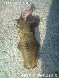 �����ꥤ��