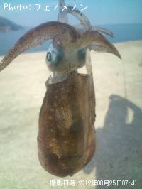 �����ꥤ��