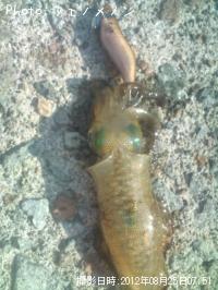 �����ꥤ��