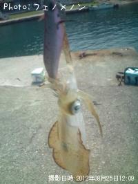 �����ꥤ��