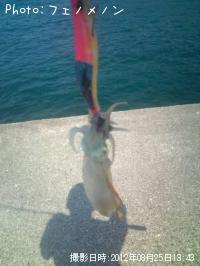 ¥¢¥ª¥ê¥¤¥«