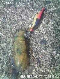 ¥¢¥ª¥ê¥¤¥«