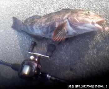 �����ʥ�