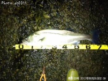 �����Х�