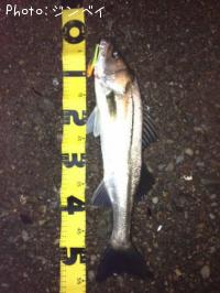 �����Х�