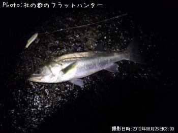 �����Х�