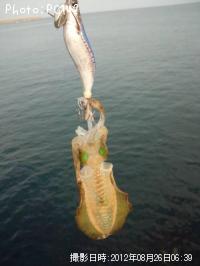 �����ꥤ��