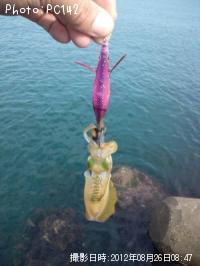 �����ꥤ��