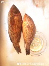 �������ϥ�